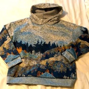 Vibrant fleece lined hooded sweater